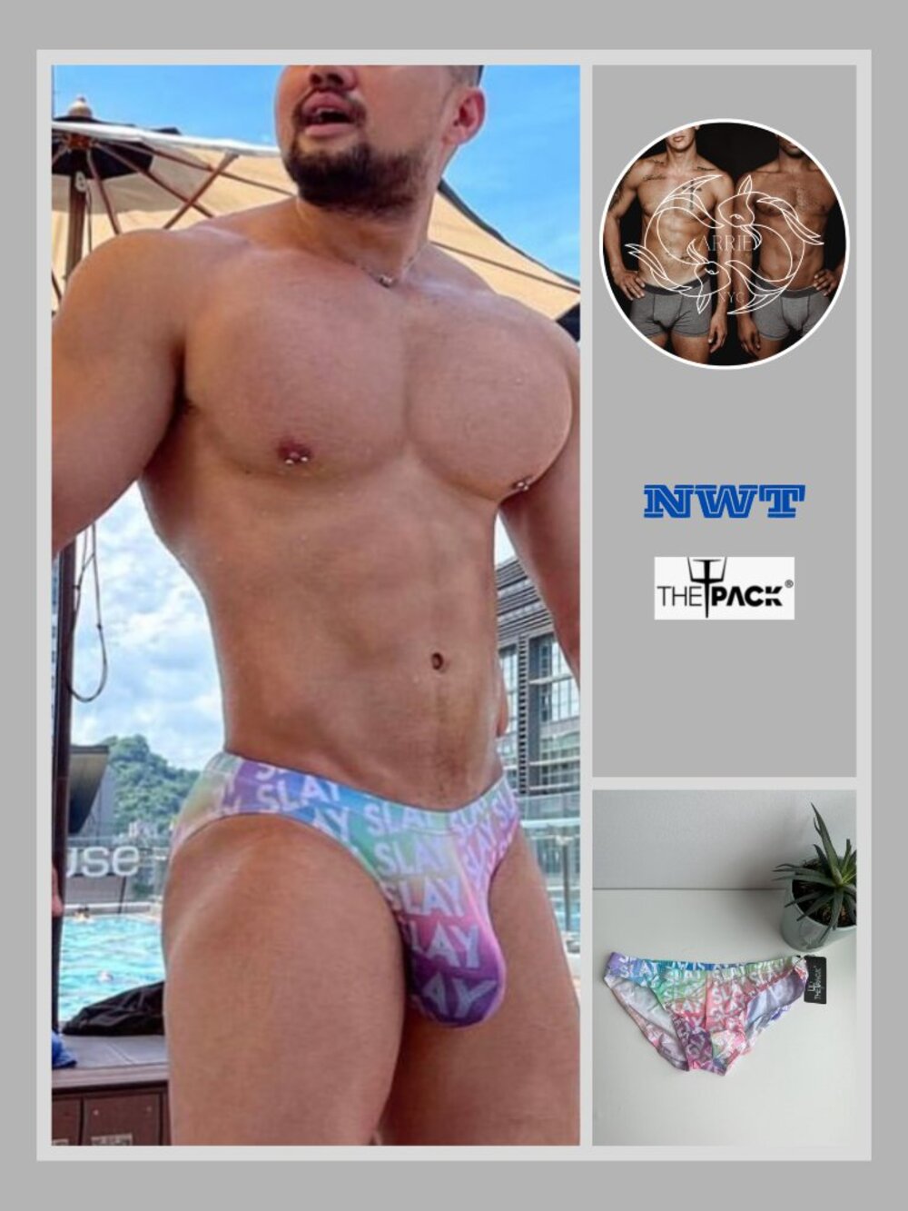 ThePack - Slay Pride Brief - Multi (M)